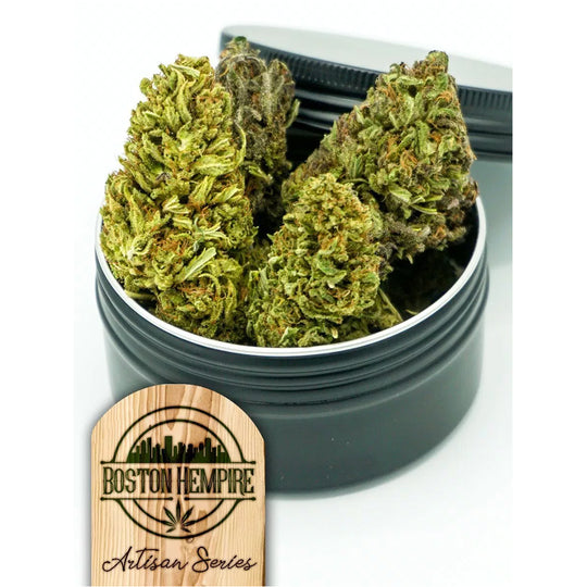 Organic Boston Sauce – 13% CBD