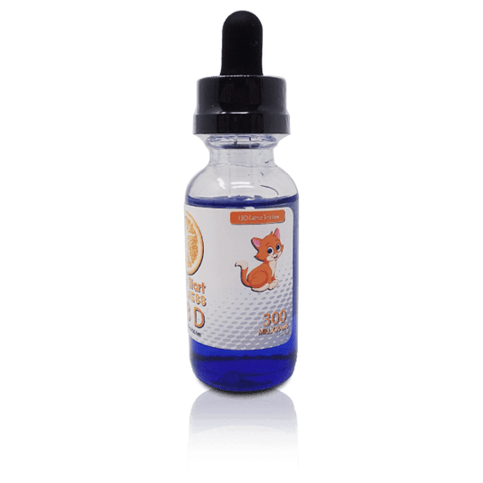 CBD Pet Tincture – Catnip