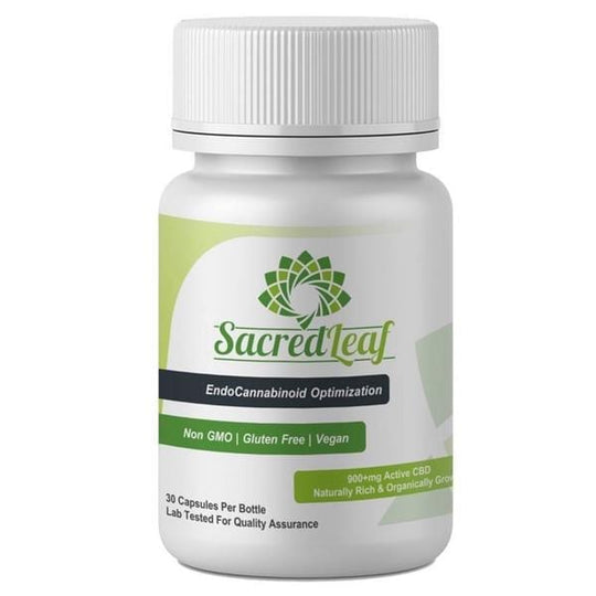 Concentrated Hemp Oil Capsules