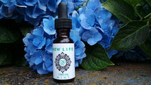 Load image into Gallery viewer, CBD Oil Tincture