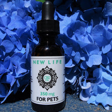 Load image into Gallery viewer, CBD Oil Tincture Unflavored for Pets