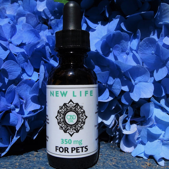 CBD Oil Tincture Unflavored for Pets