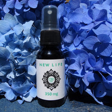 Load image into Gallery viewer, CBD Spray