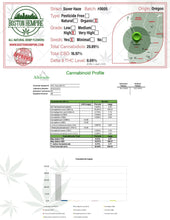 Load image into Gallery viewer, Organic Masala Chai CBD Tea
