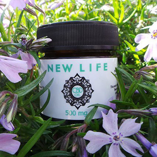 CBD Topical Salve (500MG)