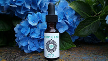 Load image into Gallery viewer, CBD Oil Tincture