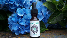 Load image into Gallery viewer, CBD Oil Tincture