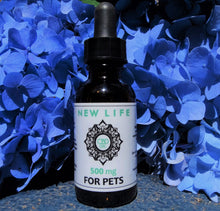 Load image into Gallery viewer, CBD Oil Tincture Unflavored for Pets