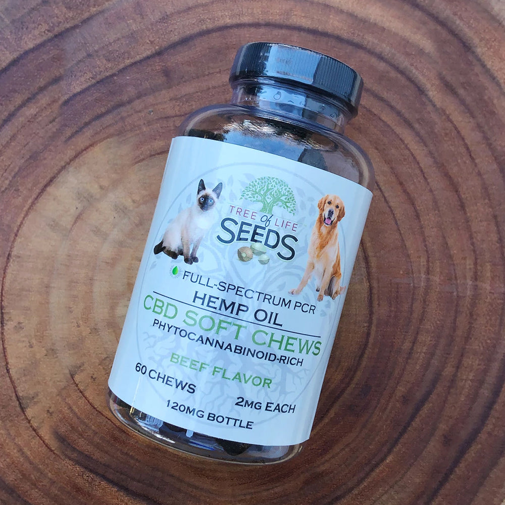 CBD Soft Chews for Pets - Beef Flavor