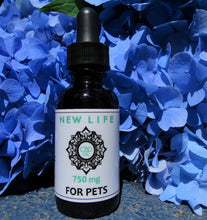 Load image into Gallery viewer, CBD Oil Tincture Unflavored for Pets