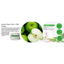 Load image into Gallery viewer, Anti-Aging Cream with Apple Stem Cells