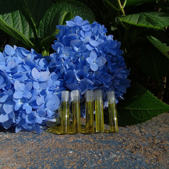 CBD Internal Tintures Samples