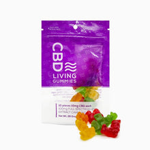Load image into Gallery viewer, CBD Living Gummies Bag 100mg