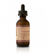 Load image into Gallery viewer, Healthy Hemp Pet CannaDrops Immune Supporter