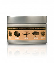 Load image into Gallery viewer, Healthy Hemp Pet CannaShroom Immune Supporter with Five Mushroom Blend