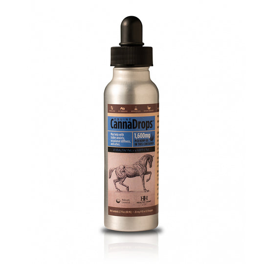 Healthy Hemp Pet Equine CannaDrops