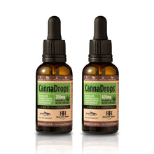 Load image into Gallery viewer, Healthy Hemp Pet CannaDrops Salmon