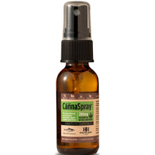 Load image into Gallery viewer, Healthy Hemp Pet CannaSpray Salmon 200