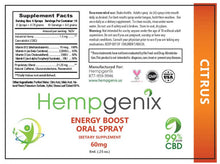 Load image into Gallery viewer, CBD Oil Energy &amp; Focus Oral Spray