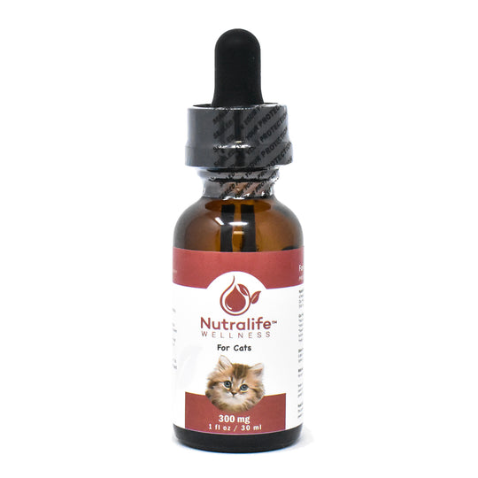 Hemp Oil  300 mg For Cats  1 fl oz / 30 ml