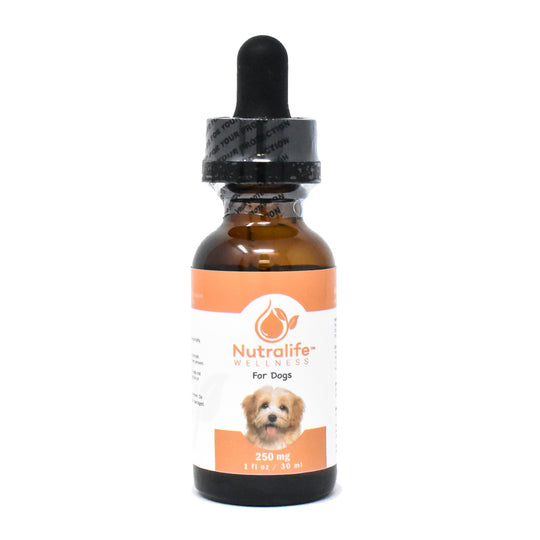 Hemp Oil  250 mg For Dogs  1 fl oz / 30 ml