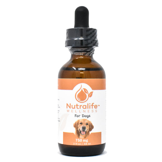 Hemp Oil  750 mg for Dogs  2 fl oz / 60 ml