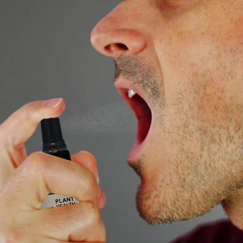 Plant Health 600mg Nano Coconut MCT CBD Oral Spray
