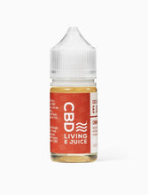 Load image into Gallery viewer, CBD Living E-Juice 250mg – Cinnamon Swirl
