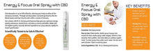 Load image into Gallery viewer, CBD Oil Energy &amp; Focus Oral Spray