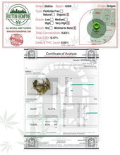 Load image into Gallery viewer, Kief Dipped Elektra Fatty – 1.25+ gram flower, 12.5% Plus 32.4% CBD