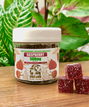 Load image into Gallery viewer, CBD Lion Gummies 500mg Pack